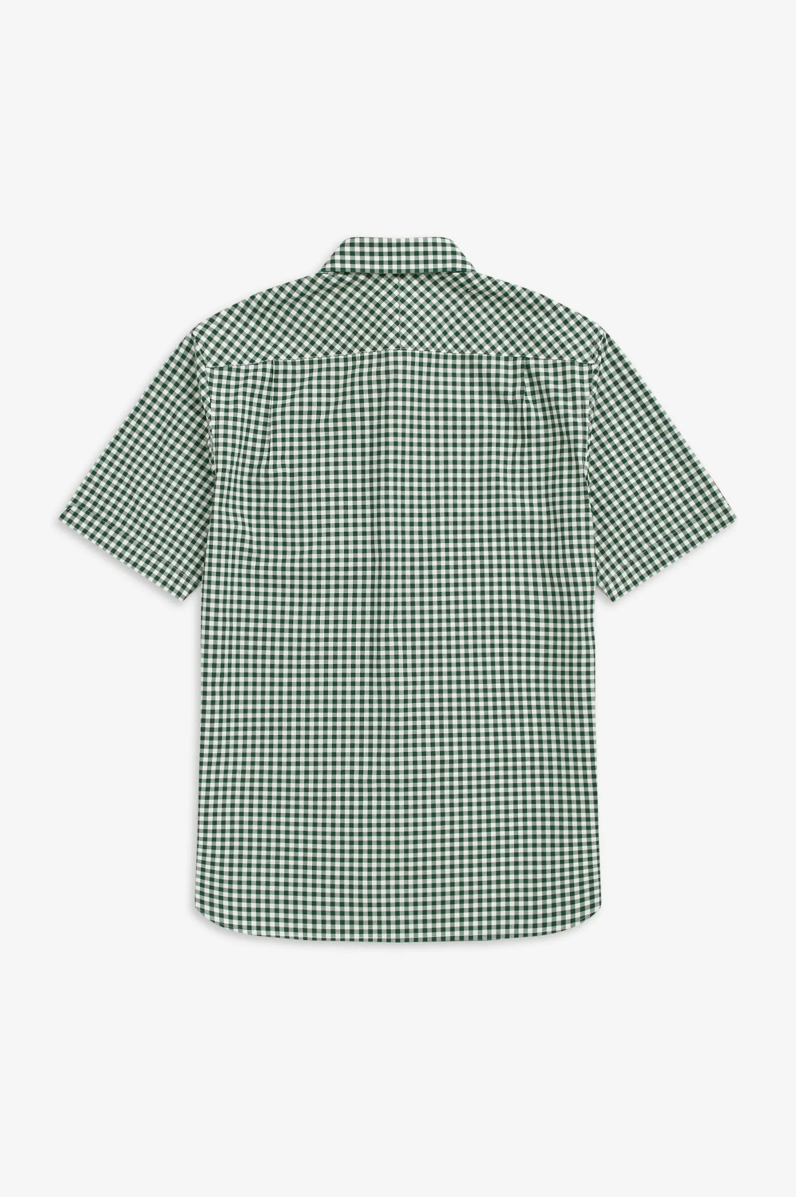 Button Down Shirt (ivy)