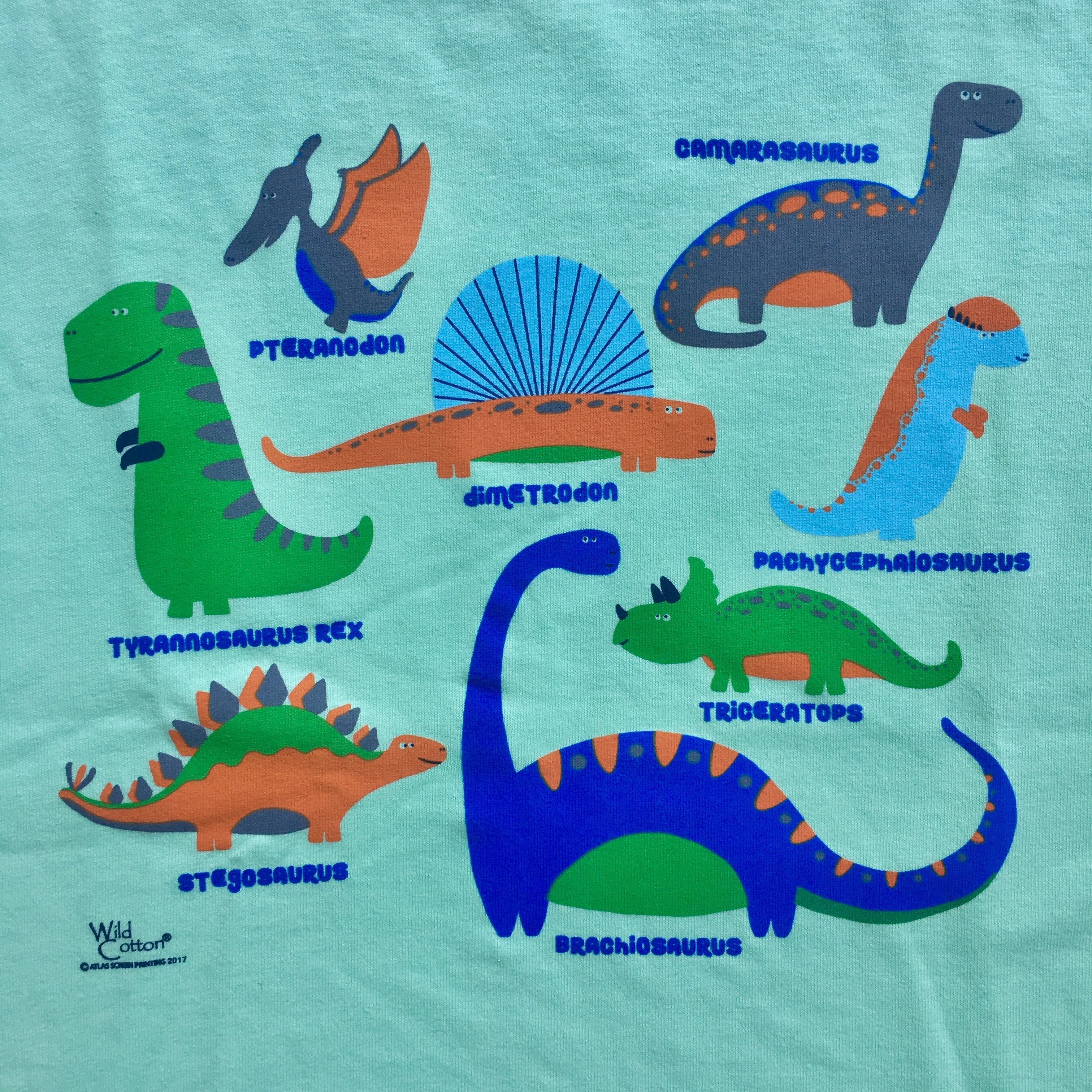 Dino Playland T-shirt, Youth