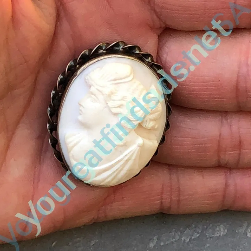 Pale Pink Conch Shell Cameo Brooch