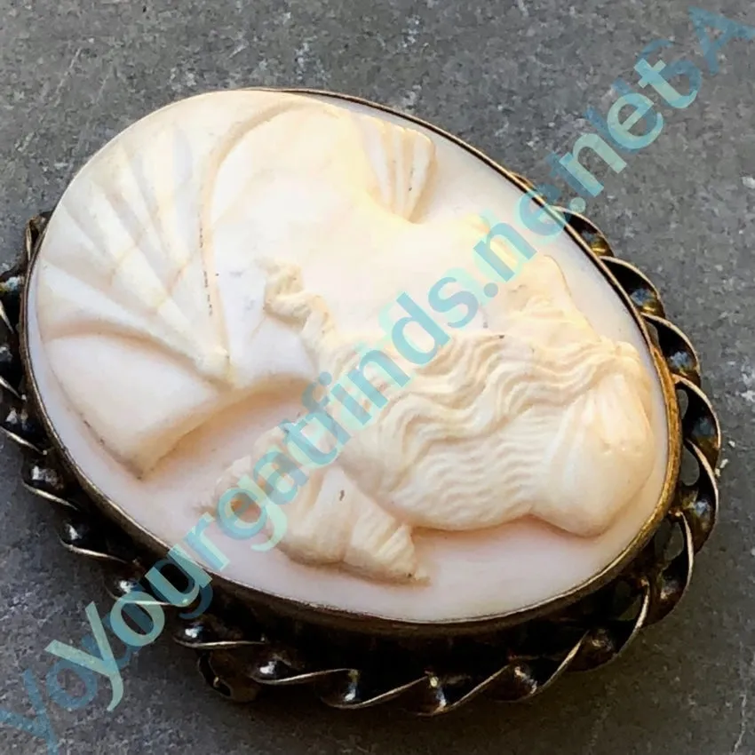 Pale Pink Conch Shell Cameo Brooch