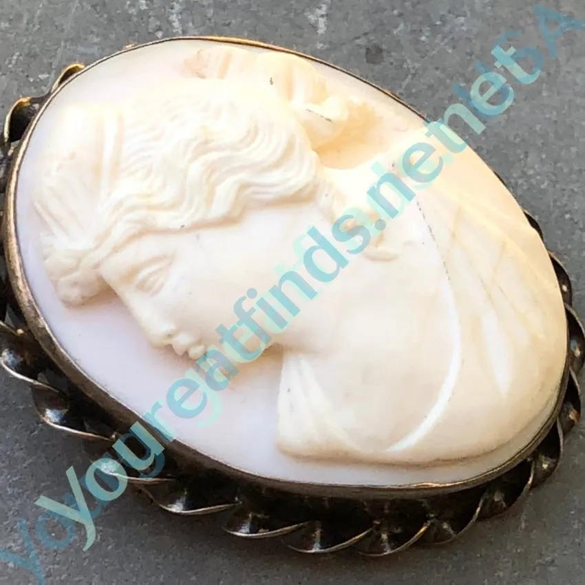 Pale Pink Conch Shell Cameo Brooch