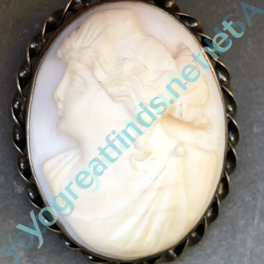 Pale Pink Conch Shell Cameo Brooch