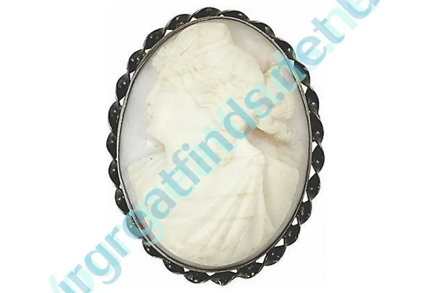 Pale Pink Conch Shell Cameo Brooch